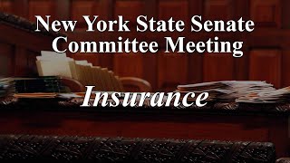 Senate Standing Committee on Insurance  04152024 [upl. by Cirtap]