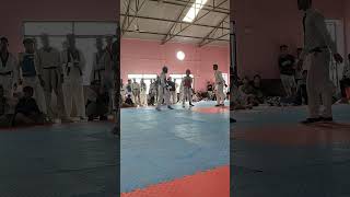 Brother sport taekwondo teakwondokicks tranding fight [upl. by Twum]