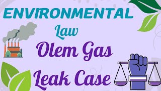 Oleum Gas Leak Case  Environmental Law [upl. by Whitver]