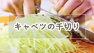 キャベツの千切り【料理の基本】 [upl. by Feerahs193]