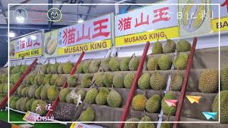 👼🍽️Kuala Lumpur  Kepong  Fruit  曾兄弟榴莲生果 Chen Brothers Durian Trading [upl. by Nnek]