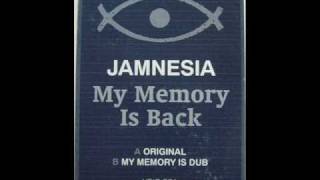 Jamnesia  My Memory Is Back [upl. by Airahcaz]