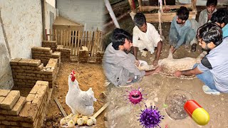 Hen Coop Ka Kam Start Ho Gia 🥰Or Deer Ko Phir Sy Kia Ho Gia 🥹 [upl. by Eiryt]