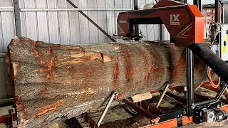 The Milling Process Oak log into Beautiful slabs with the Woodmizer LX250 [upl. by Yendis]