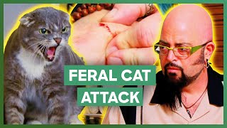 Jackson Galaxy SCRATCHED By Feral Cat  My Cat From Hell [upl. by Eenehs]