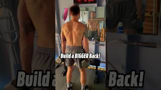 Build a BIGGER Back 🔥 shorts workout [upl. by Calle]