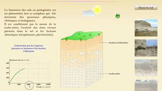 Les différentes étapes de la pédogenèse formation dun sol [upl. by Ennairoc]