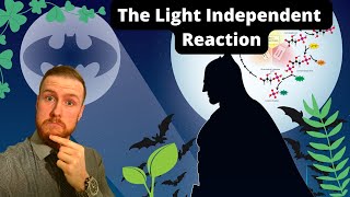 PHOTOSYNTHESIS The LightIndependent Reaction AQA ALevel Biology [upl. by Aizirtap]