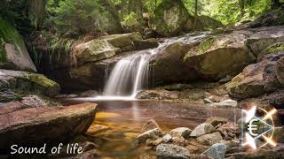 DUERME Y LLENA DE PAZ Y TRANQUILIDAD TUS SUEÑOS MUSICA PARA DOMIR MEDITAR DESCANSAR [upl. by Krisha]