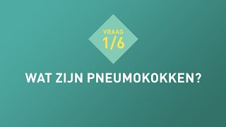 Vraag 1 Wat zijn pneumokokken [upl. by Allyce]