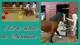 Histoire Schleich Cours de Saut et de gymnastique pour les chevaux [upl. by Ecilahs407]