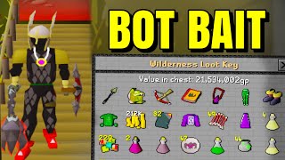 Pkers think im a BOT  Wilderness antipking [upl. by Dazhehs]