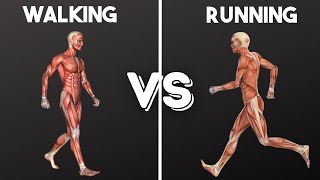 Walking vs Running Weight Loss Fat Loss Life Span AND MORE [upl. by Shep]