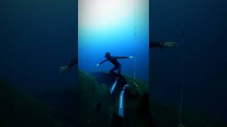 tenerife apnea freediving ocean canarias tenerife4k underwater wreck oceano [upl. by Conley]