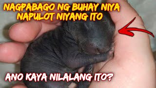 ANO KAYANG NILALANG ANG NAPULOT NIYA AT GANUN NA LANG NAGBAGO BUHAY NIYA [upl. by Cicero]