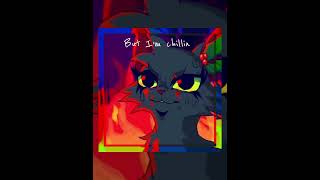 Hollyleaf édit  Feuille de Houx édit catwarriorclub edit lgdc warriorcats hollyleaf [upl. by Ally]