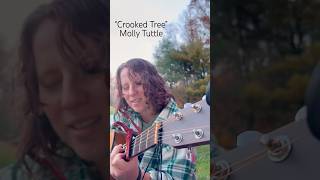 Crooked Tree by Molly Tuttle cover cover bluegrass folk [upl. by Annairdna734]