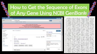 How to DownloadGet Sequence of Any Gene Using NCBI GenBank [upl. by Eniamart308]