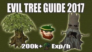 Runescape 3 Evil Tree DampD Guide 2017  200k WC Exph  Elder Trees [upl. by Duer836]