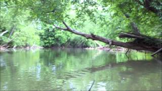 Catawba River Kayaking Provided by NcYakcom [upl. by Honna]