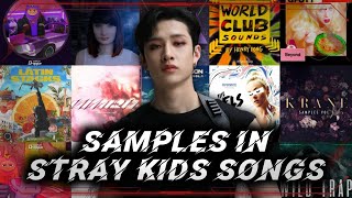 SamplesInterpolations in Stray Kids amp 3RACHA Songs [upl. by Resay]