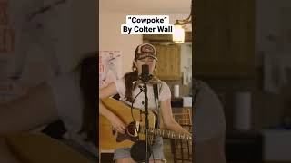 “Cowpoke” by Colter Wall cover [upl. by Tterrab]