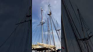 mobiCITY LifeStyle The Tall Ships Races 19 szczecin news lifestyle [upl. by Bobker538]