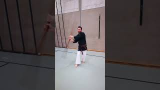 Bo Warm up Kobudo Kampfkunst [upl. by Demetria]