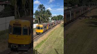 EMU 55 Doomben to Eagle Junction shorts [upl. by Ilah]