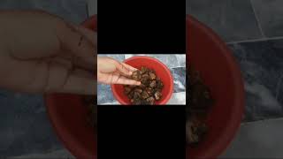 Singhara Recipe Water Chestnut Recipe Singhara Banane Ka Tarika By jannat Cooking Channel [upl. by Gard]