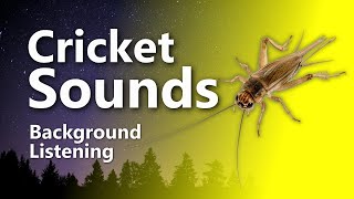 Relaxing Cricket Sounds for Sleep amp Tinnitus Relief Crickets [upl. by Martens]