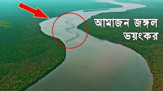 বিশ্বের বৃহত্তম আমাজন জঙ্গলের ভয়ংকর প্রাণী World Biggest Amazon rainforest AnimalsBengali [upl. by Wagner798]