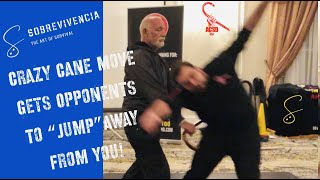 Cane Self Defense Crazy Cane Moves Gets Opponents To quotJumpquot Away From You [upl. by Sellig652]