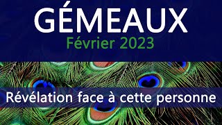 GÉMEAUX  Février 2023  quot Une révélation face à cette personne quot [upl. by Warner]