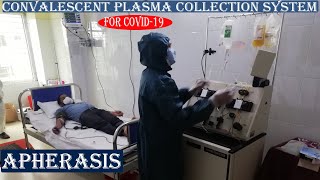 Convalescent Plasma Collection Machine Apheresis COBE Spectra [upl. by Obara]