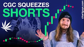 Cannabis Stock Short Squeeze [upl. by Lind]