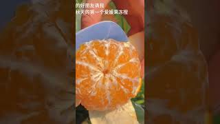 The season for eating Ehime jelly oranges is herefruitjellyjellychinafruit nainaqueenjellyroll [upl. by Einaffets]