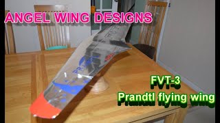 Prandtl Flying Wing FVT3 Part 7 FINISHED [upl. by Nehpets]