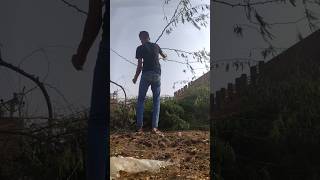 Gayon ki Suraksha shorts viralvideo youtubeshorts minivlog [upl. by Llydnek]