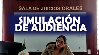 Simulación de audiencia en Materia Familiar [upl. by Sadinoel37]