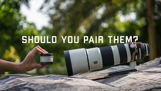 Pairing The 2x Teleconverter with the Sony 200600mm G Lens  User Experience Review [upl. by Lammaj]