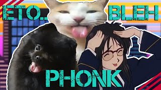 Ah Eto Bleh Phonk Song [upl. by Namhcan]