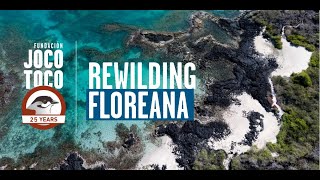 Rewilding Floreana in the Galápagos [upl. by Braasch380]