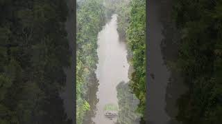 Beautiful Daintree Rainforest Aerial View shorts [upl. by Moreland]