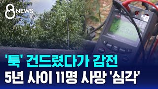 툭 건드렸다가 감전…5년 사이 11명 사망 심각  SBS 8뉴스 [upl. by Asimaj]