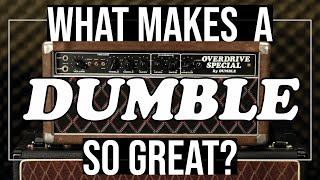 Understanding Dumble Amps amp Tone [upl. by Wirth672]