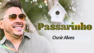 Osnir Alves  Traga Passarinho Clipe [upl. by Airtened]