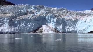 Aialik Glacier Calving [upl. by Kellene]