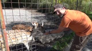 Catoctin Zoo with The Moot [upl. by Yniffit419]