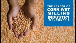 Tereos FKS Indonesia  The Leader of Corn Wet Milling Industry in Indonesia [upl. by Bow707]